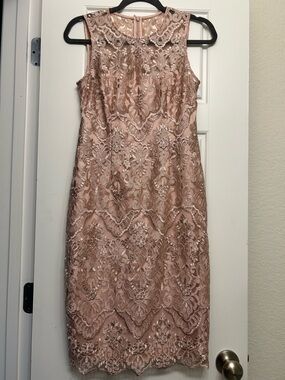 Vince Camuto Blush Pink Lace Midi Dress